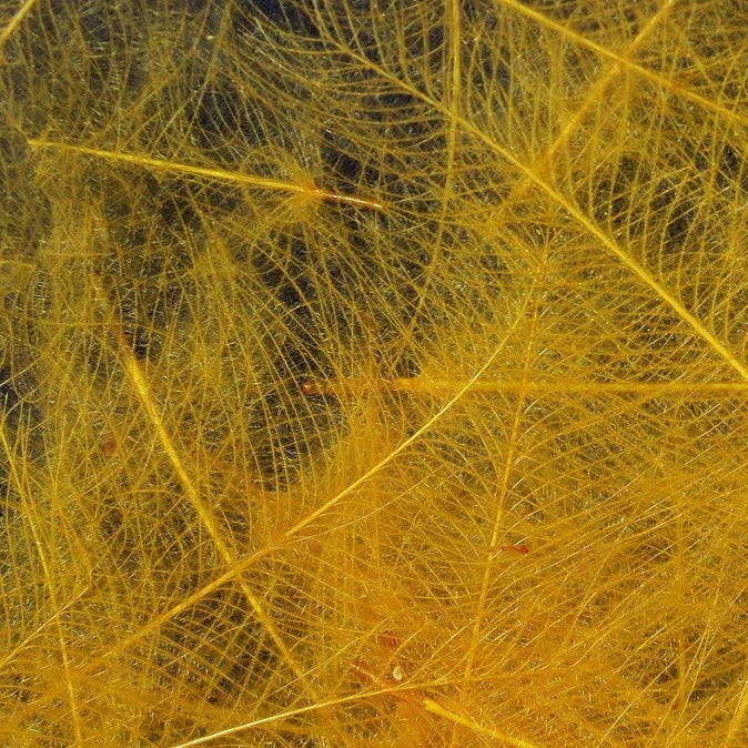 Hareline Cul De Canard Feathers 12 Hareline Cul De Canard Feathers - Image 10