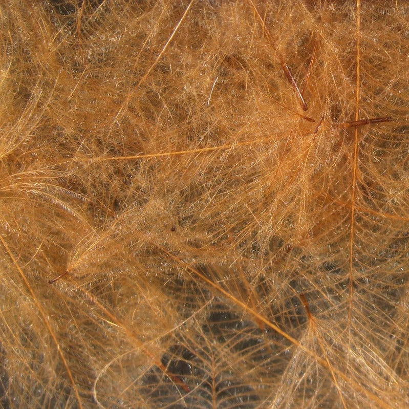 Hareline Cul De Canard Feathers 14 Hareline Cul De Canard Feathers - Image 12