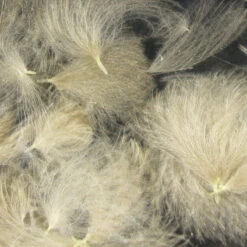 Hareline Cul De Canard Feathers 32 Hareline Cul De Canard Feathers -JS Fly Fishing cdco245