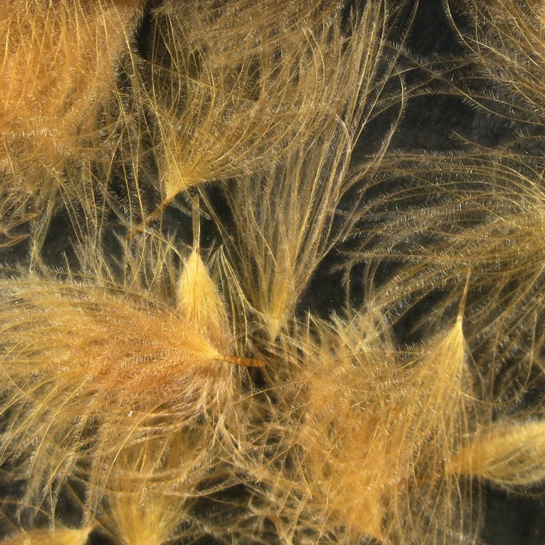 Hareline Cul De Canard Feathers 18 Hareline Cul De Canard Feathers - Image 16