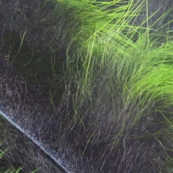 Hareline FrosTip 1/8" Crosscut Rabbit Strips 10 Hareline FrosTip 1/8" Crosscut Rabbit Strips -JS Fly Fishing cfr1