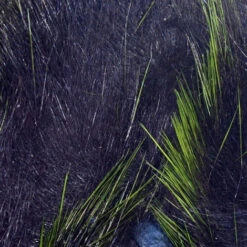 Hareline FrosTip 1/8" Crosscut Rabbit Strips 12 Hareline FrosTip 1/8" Crosscut Rabbit Strips -JS Fly Fishing cfr3