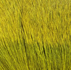 Hareline Premo Deer Hair Strips 27 Hareline Premo Deer Hair Strips -JS Fly Fishing dd383 29a1b45d 45e2 4fe9 8202 5f39080f5a42