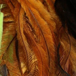 Emu Feathers 12 Emu Feathers -JS Fly Fishing emusr b56bb463 9056 4aae 8334 60545b729a24
