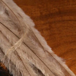 Emu Feathers 13 Emu Feathers -JS Fly Fishing emusr c386adf4 0a18 4a56 b887 1e4c9691dda1