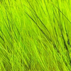 Hareline Dyed Grade #1 Hare's Mask -JS Fly Fishing hmd49