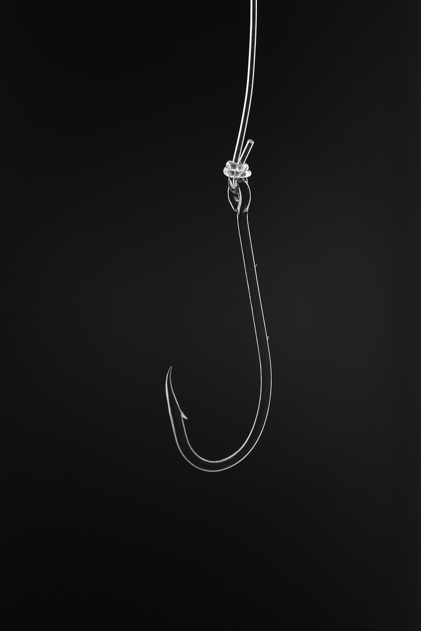 JS Fly Fishing -JS Fly Fishing hook 7418284 1280