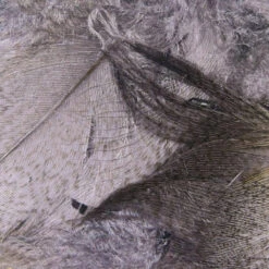 Hareline Mallard Flank Feathers -JS Fly Fishing mf229