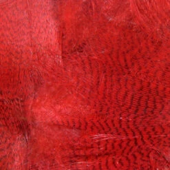 Hareline Mallard Flank Feathers -JS Fly Fishing mf310