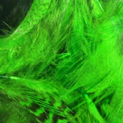 Hareline Mallard Flank Feathers -JS Fly Fishing mf34