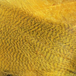 Hareline Mallard Flank Feathers -JS Fly Fishing mf381 42f6dd82 00c1 4345 b6d3 f1567511cb56