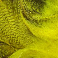 Hareline Mallard Flank Feathers -JS Fly Fishing mf383