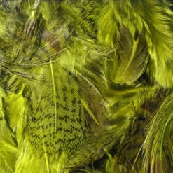 Hareline Premium Hungarian Partridge Feathers -JS Fly Fishing php263new