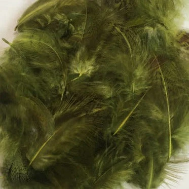 Premium Partridge 11 Premium Partridge - Image 9