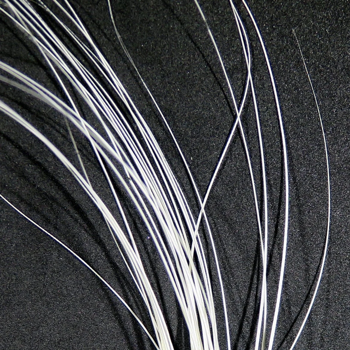 Quill Body 4 Quill Body - Image 2