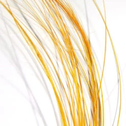 Quill Body 27 Quill Body -JS Fly Fishing qb12