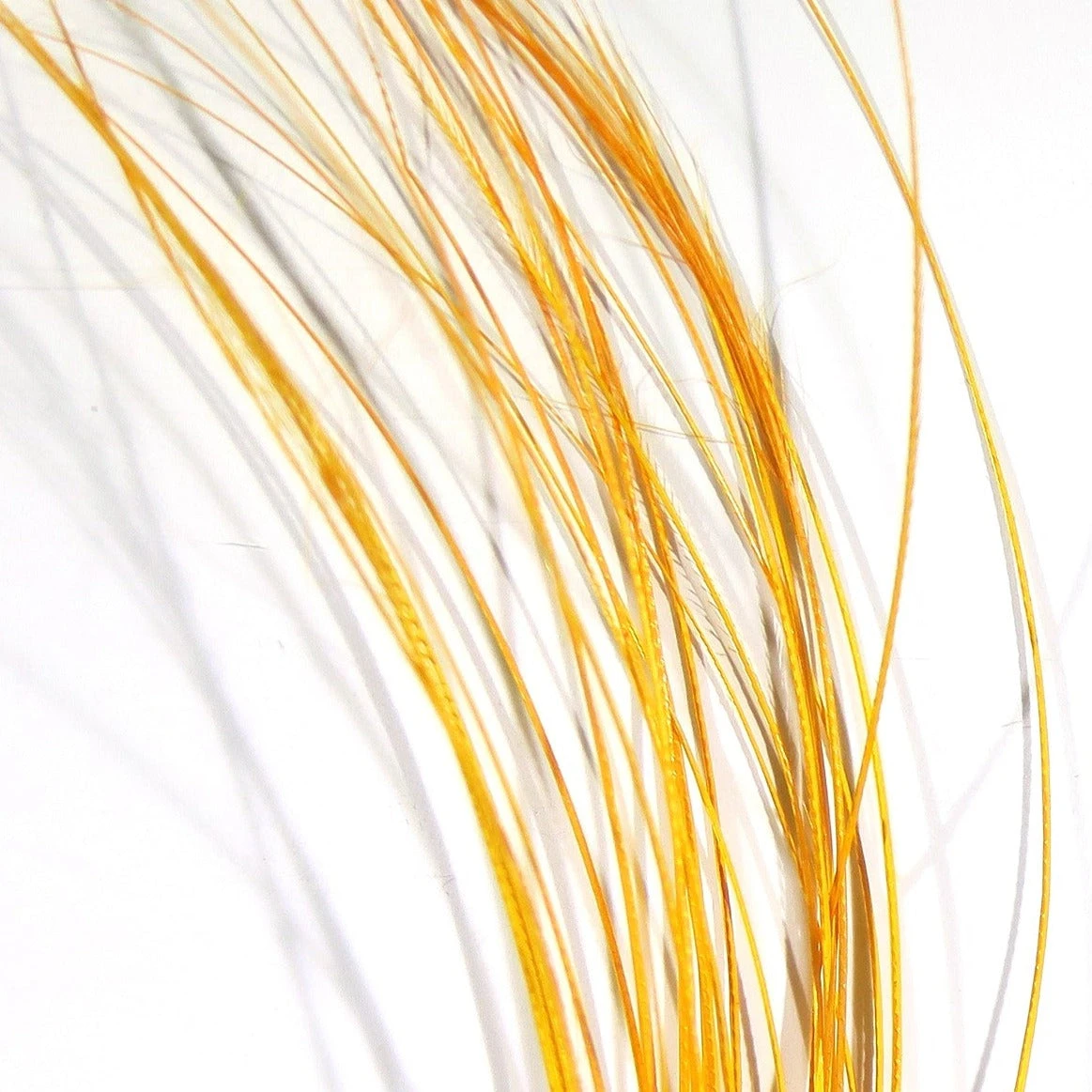 Quill Body 15 Quill Body - Image 13