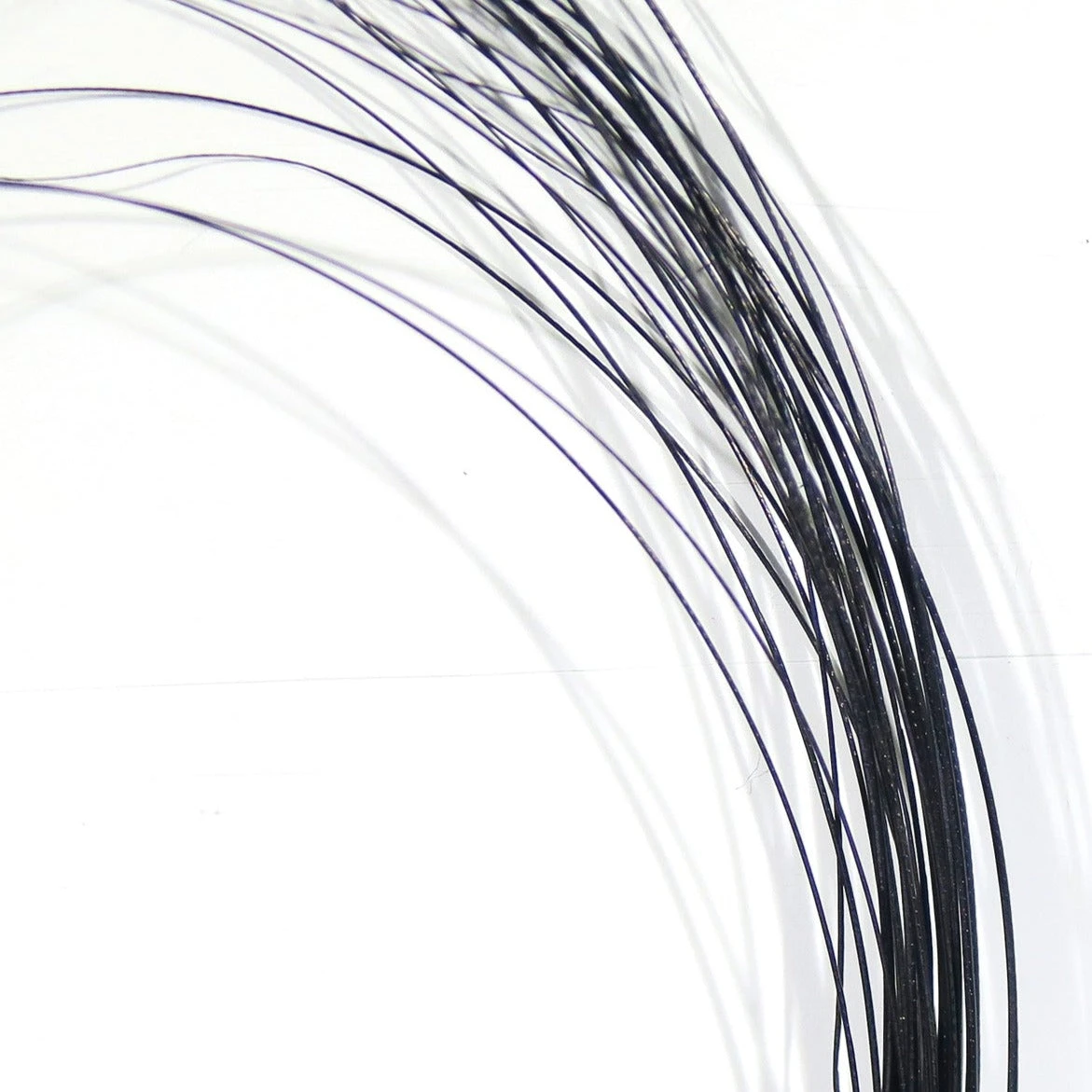 Quill Body 5 Quill Body - Image 3