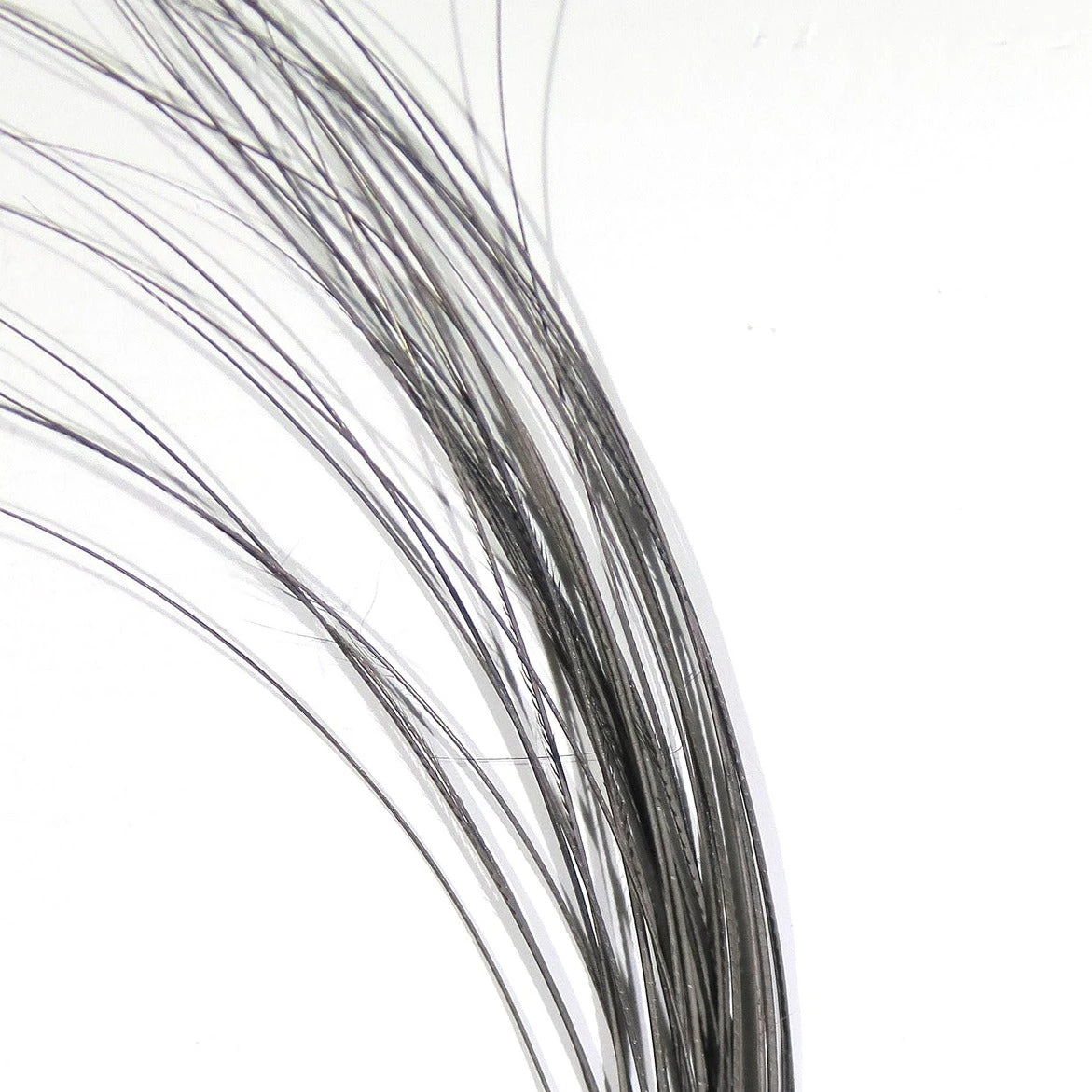 Quill Body 6 Quill Body - Image 4