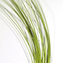 Quill Body 19 Quill Body -JS Fly Fishing qb4