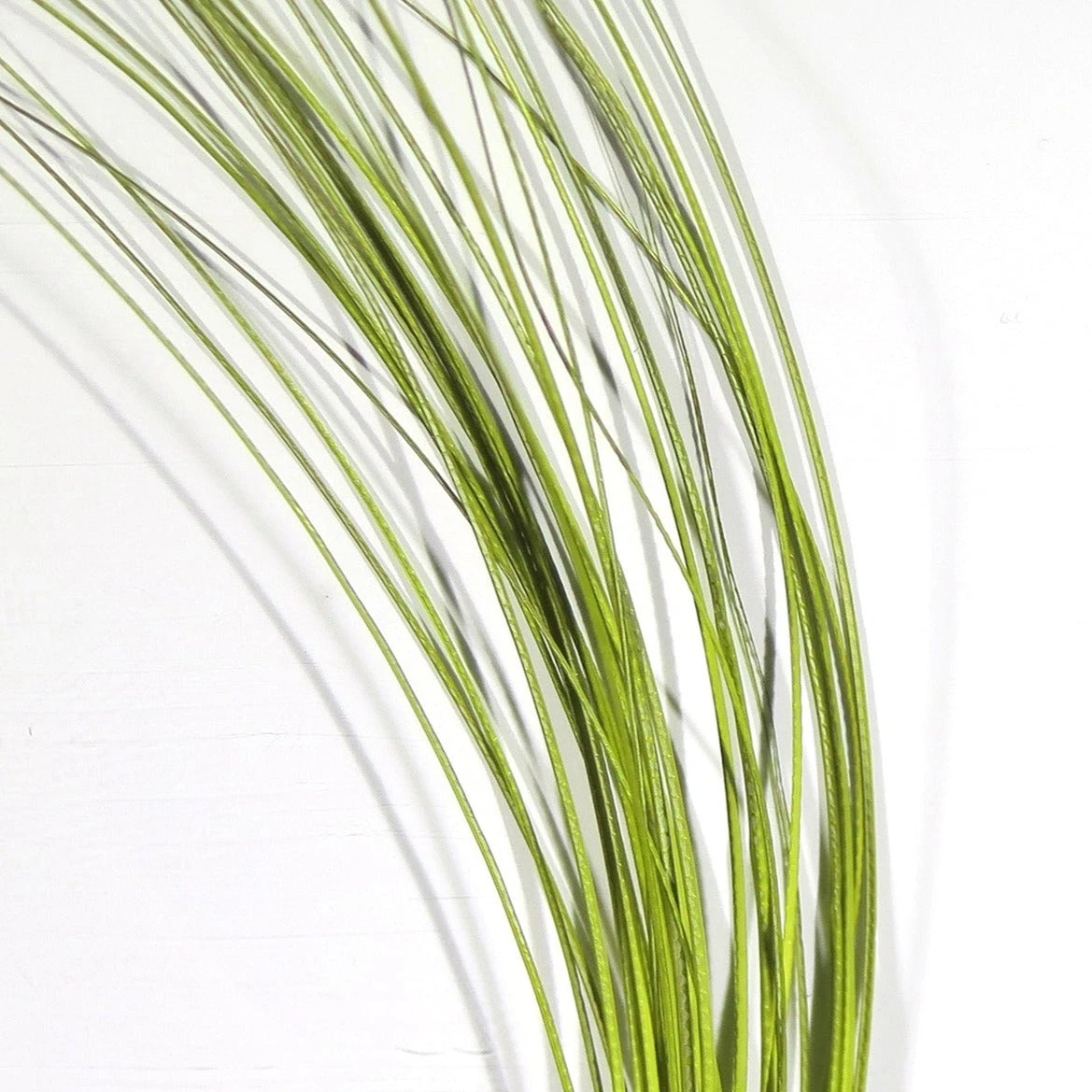 Quill Body 7 Quill Body - Image 5