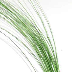 Quill Body 20 Quill Body -JS Fly Fishing qb5