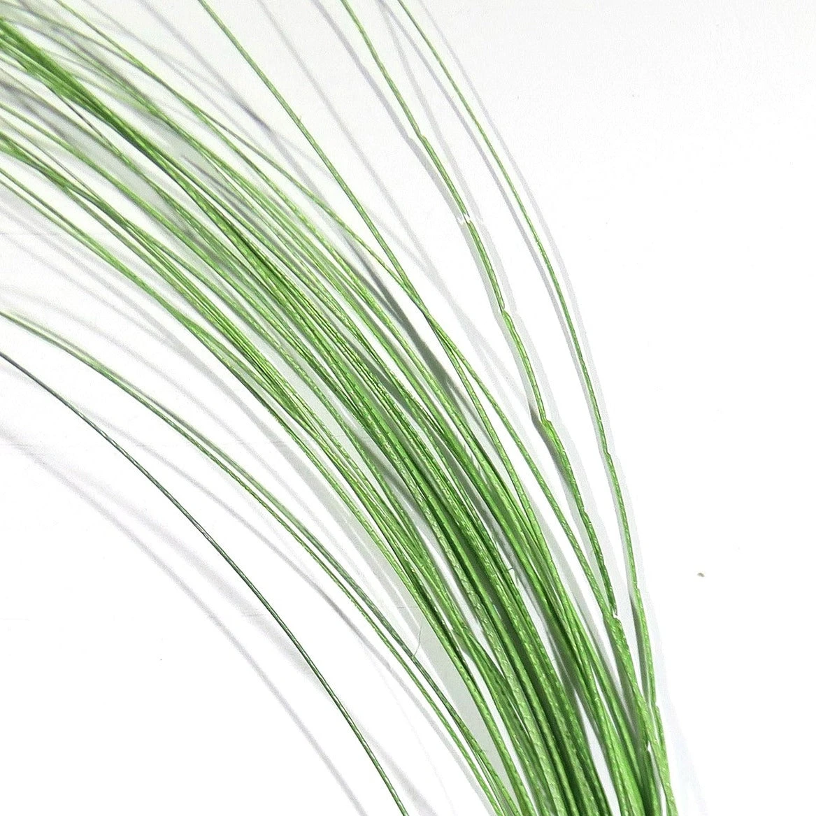 Quill Body 8 Quill Body - Image 6