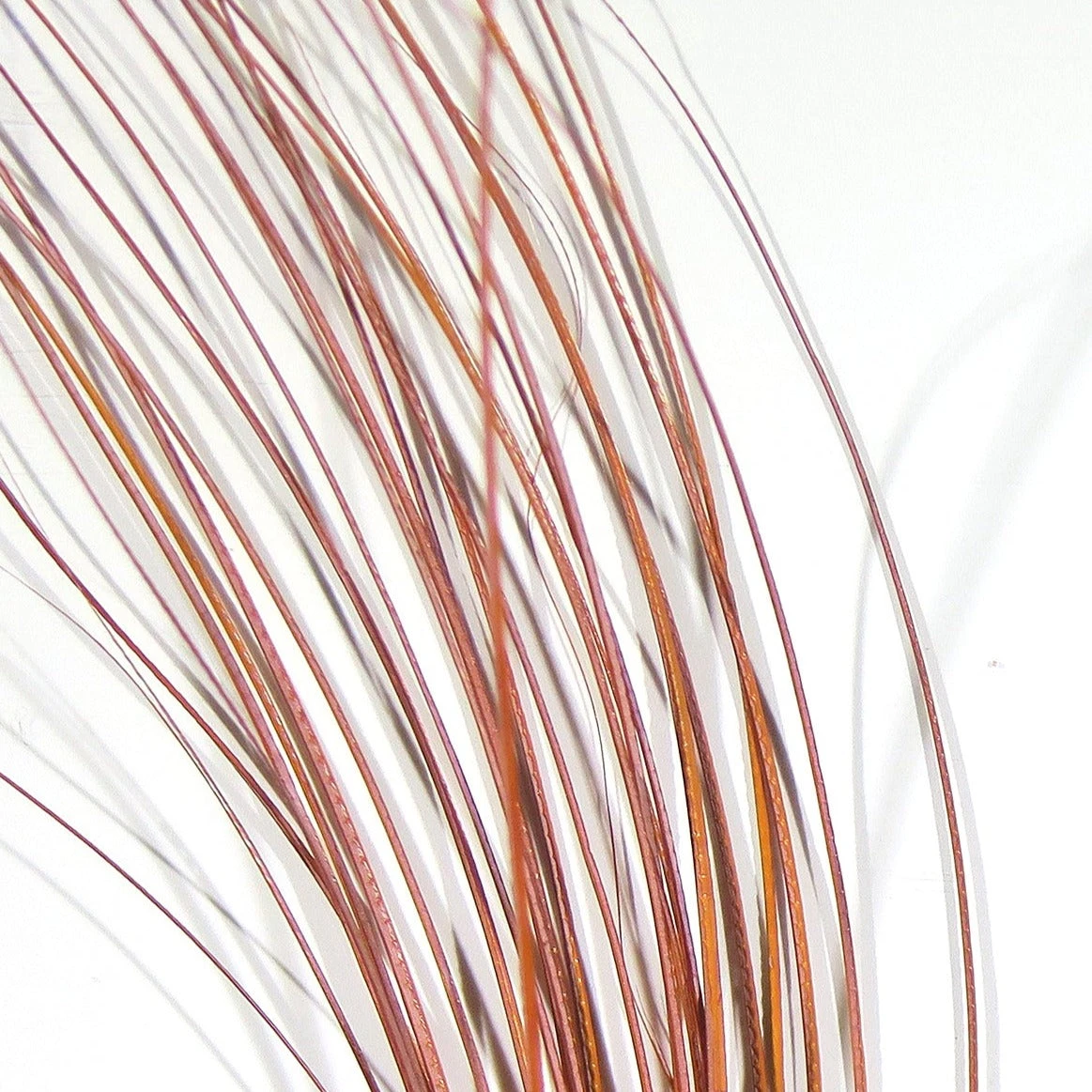 Quill Body 9 Quill Body - Image 7