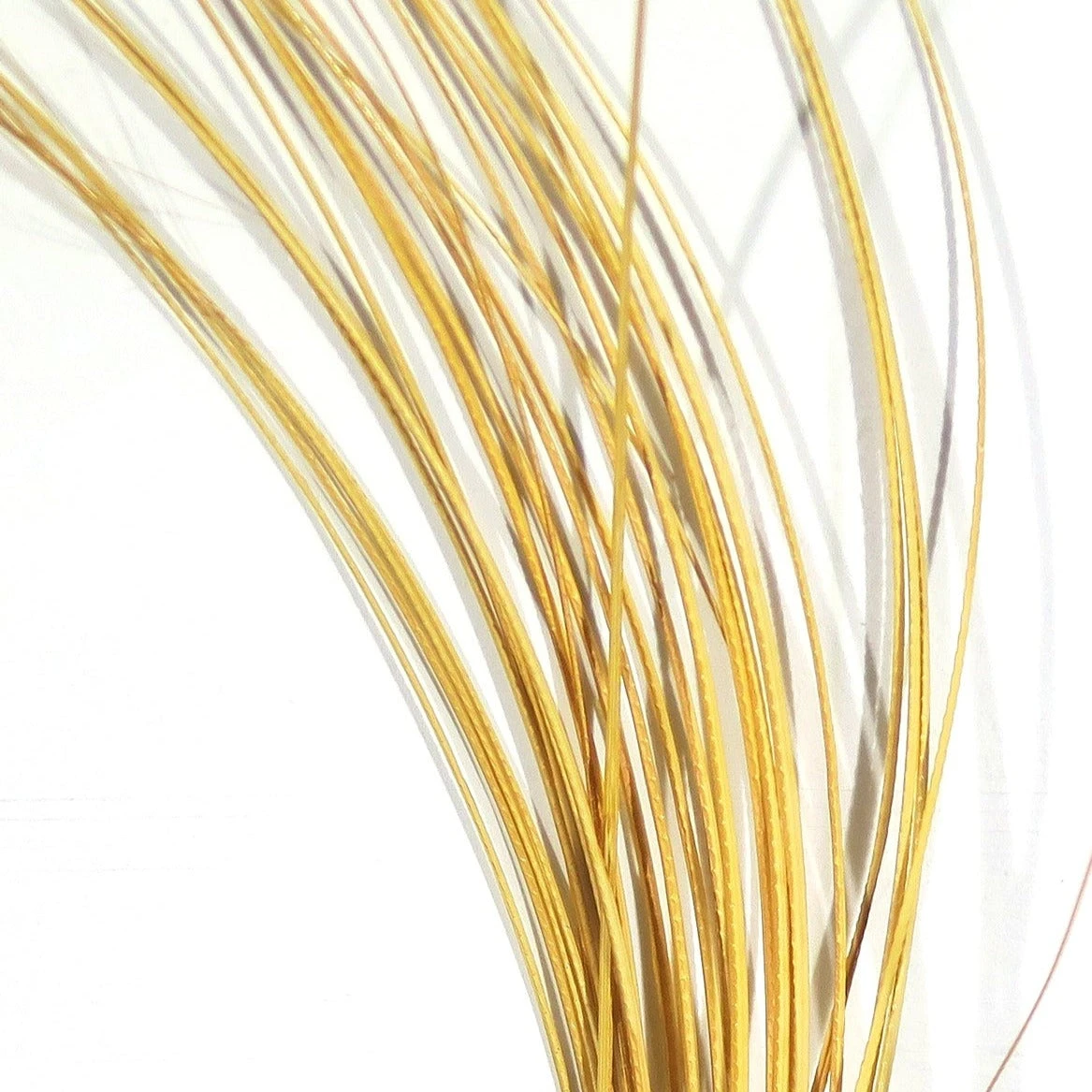 Quill Body 11 Quill Body - Image 9