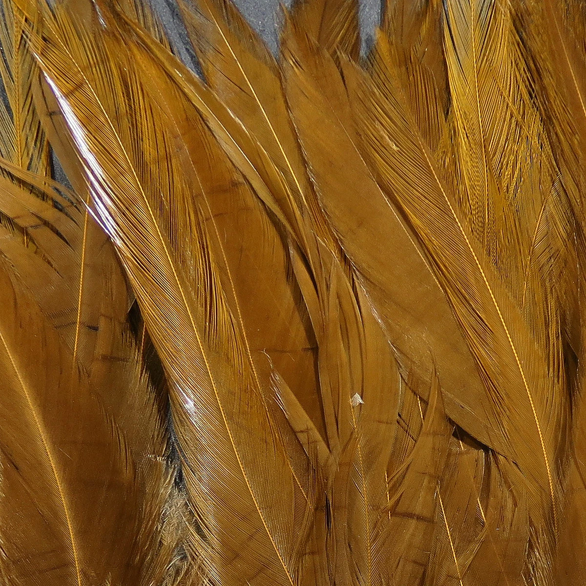 UV2 Strung Saddle 6 UV2 Strung Saddle - Image 4