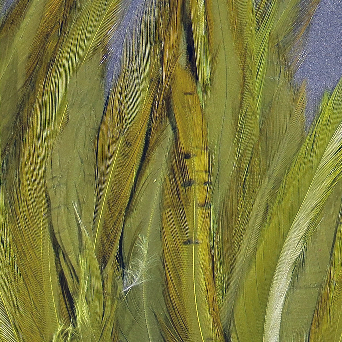 UV2 Strung Saddle 10 UV2 Strung Saddle - Image 8