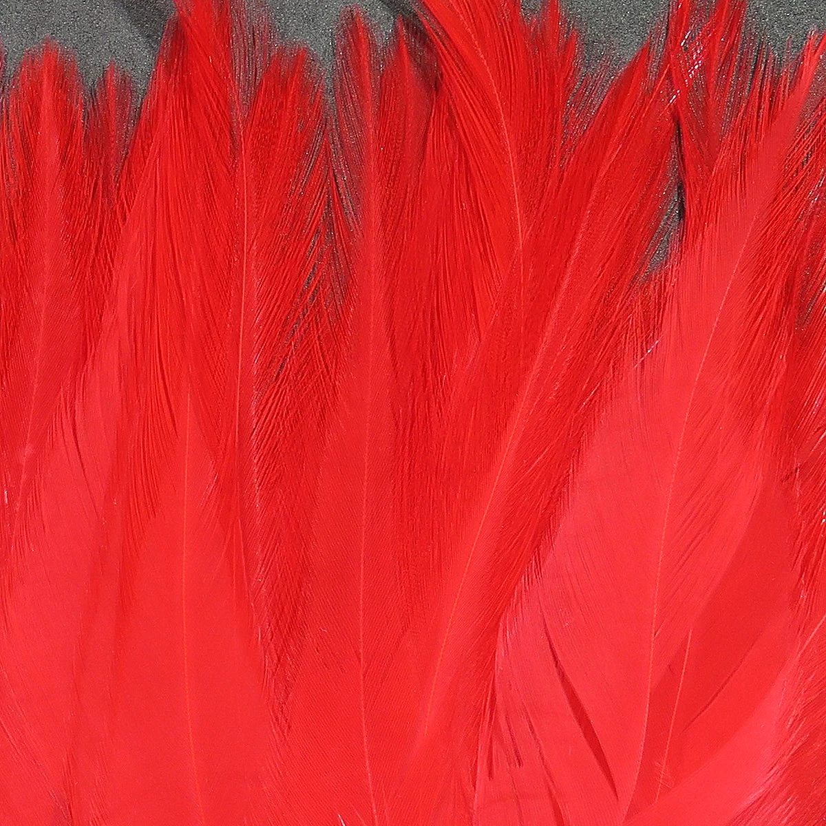 UV2 Strung Saddle 15 UV2 Strung Saddle - Image 13