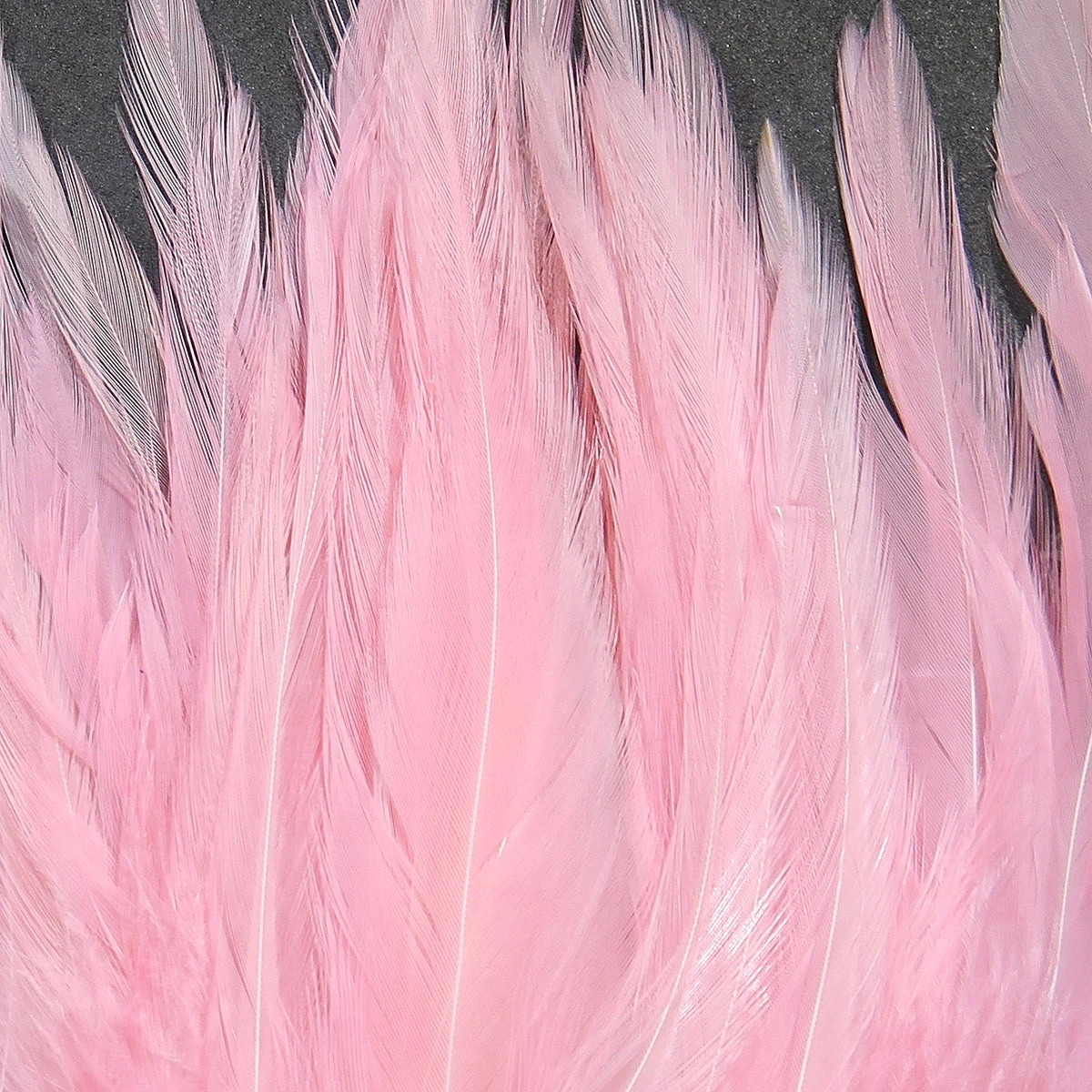 UV2 Strung Saddle 17 UV2 Strung Saddle - Image 15