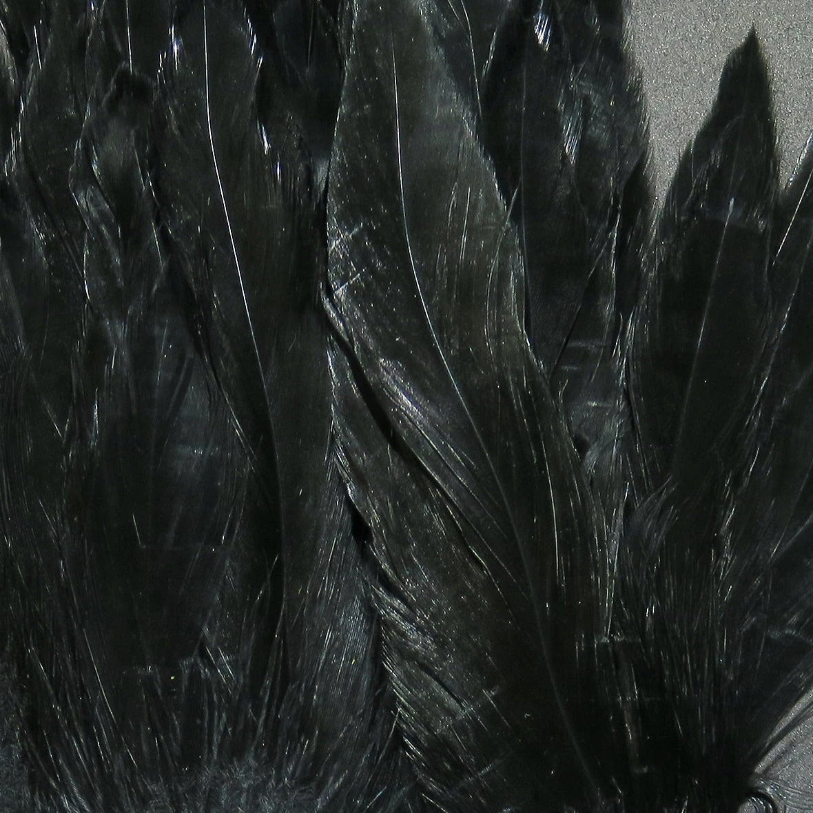 Hareline Schlappen 5-7" 4 Hareline Schlappen 5-7" - Image 2