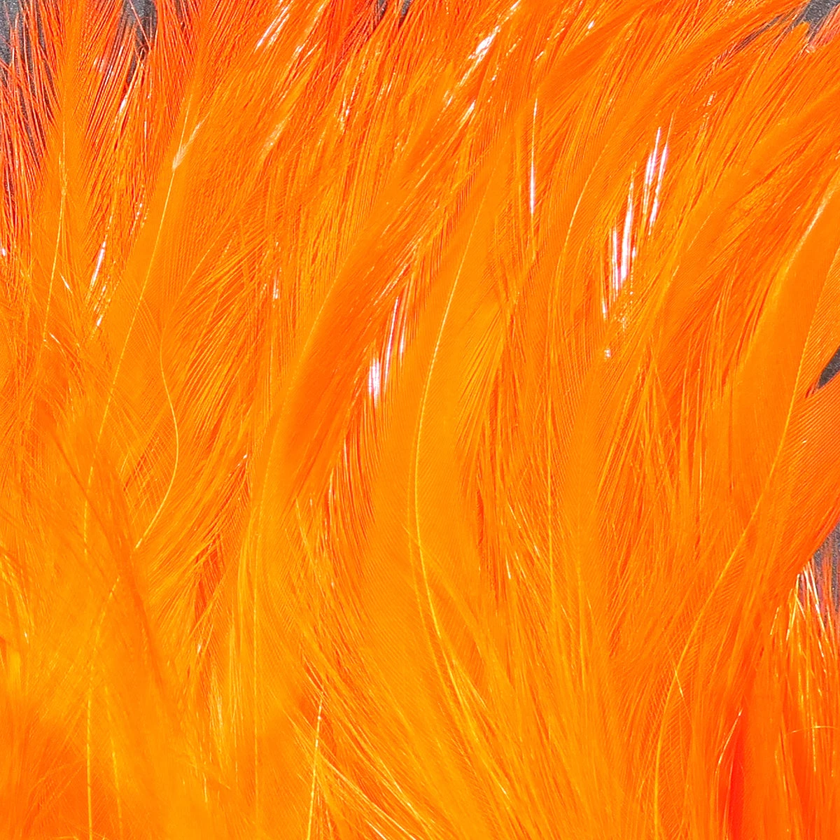 Hareline Saltwater Neck Hackle 7 Hareline Saltwater Neck Hackle - Image 5