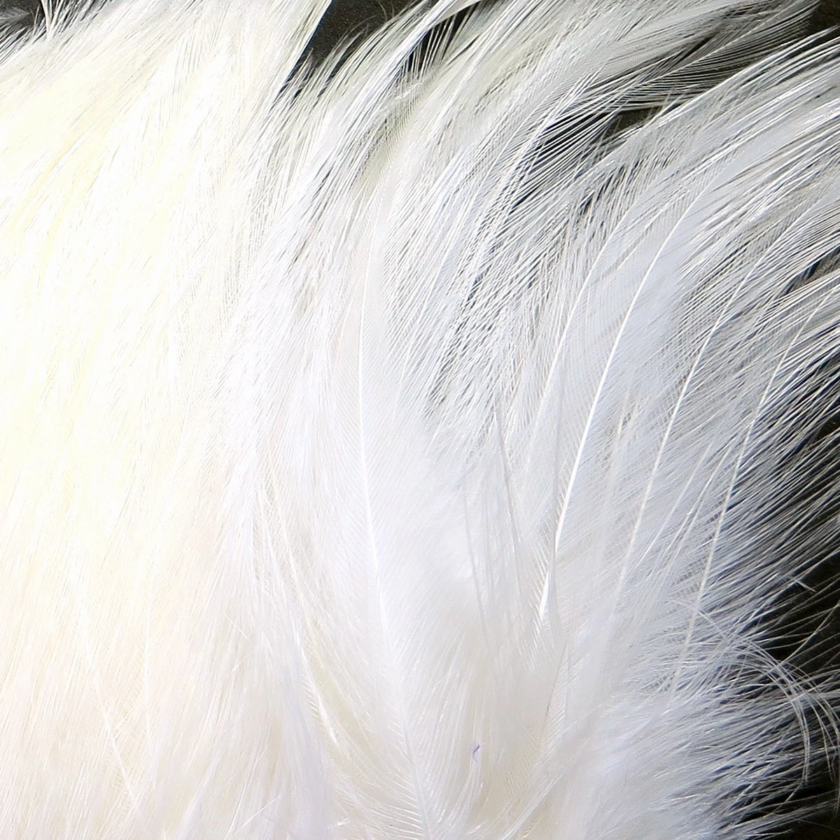 Hareline Saltwater Neck Hackle 8 Hareline Saltwater Neck Hackle - Image 6