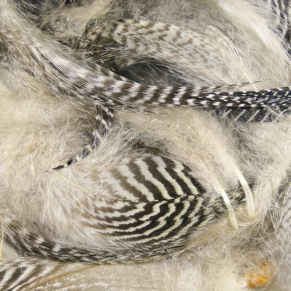 Hareline Teal Flank Feathers 6 Hareline Teal Flank Feathers - Image 4