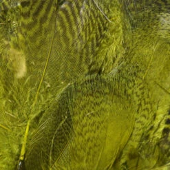 Hareline Teal Flank Feathers 14 Hareline Teal Flank Feathers -JS Fly Fishing tff263