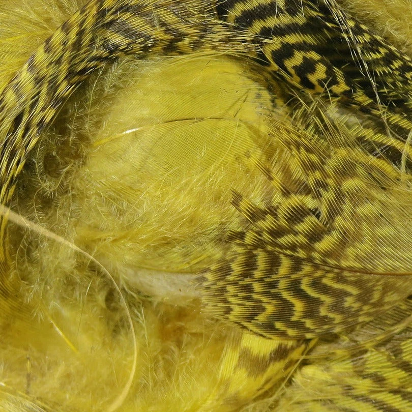 Hareline Teal Flank Feathers 4 Hareline Teal Flank Feathers - Image 2