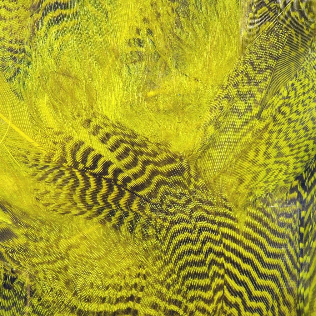 Hareline Teal Flank Feathers 9 Hareline Teal Flank Feathers - Image 7