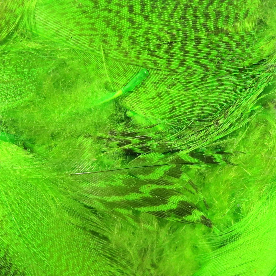 Hareline Teal Flank Feathers 7 Hareline Teal Flank Feathers - Image 5